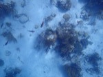 resIMG_20180716_094408_P7160918.JPG
